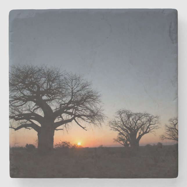 Sacred Baobabs Stone Coaster (Front)