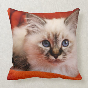 Sacred Birman Kitten Cushion
