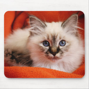 Sacred Birman Kitten Mouse Mat