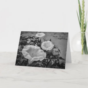 Sacred Datura Card
