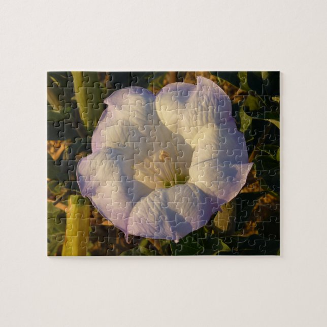 Sacred Datura Flower Desert Wildflower Jigsaw Puzzle (Horizontal)
