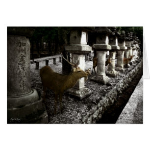Sacred Deer of Nara Japan