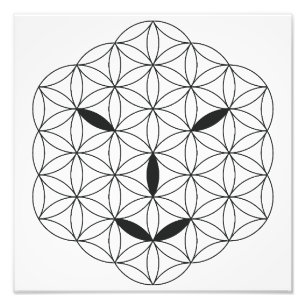 Sacred face - Arcturian 02, Black-Tr. Photo Print