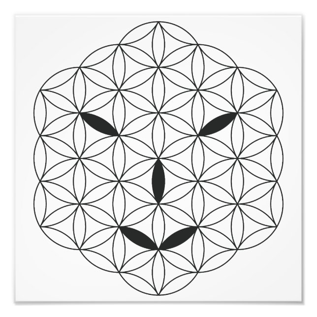 Sacred face - Arcturian 02, Black-Tr. Photo Print (Front)