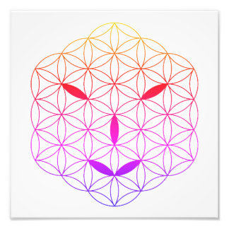 Sacred face - Arcturian 02, CF-Tr. Photo Print