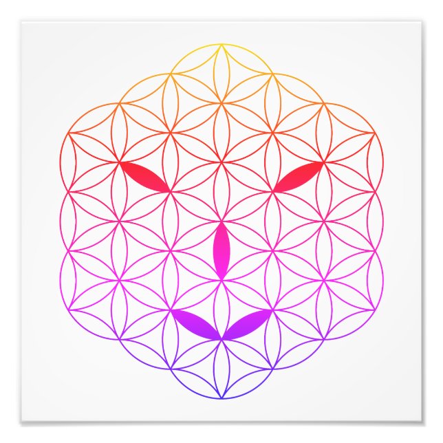 Sacred face - Arcturian 02, CF-Tr. Photo Print (Front)