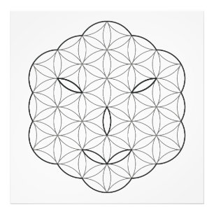 Sacred face - Arcturian, Bl-Tr. Photo Print