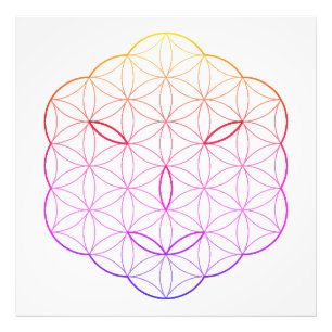 Sacred face - Arcturian, Cl-Tr. Photo Print