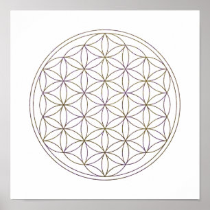 Sacred Geometry Flower Of Life (V-Aubergine) Poster