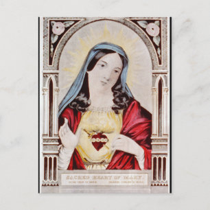 Sacred Heart of Mary Postcard