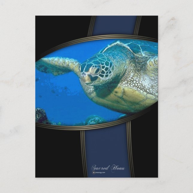 SACRED HONU POSTCARD (Front)