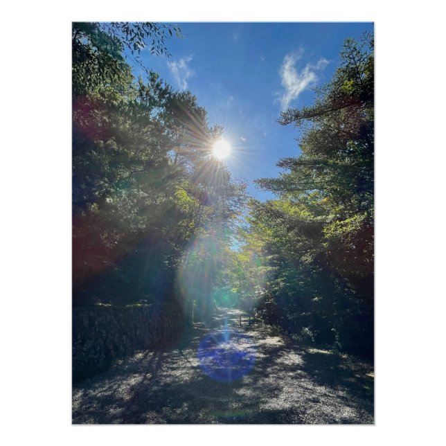 Sacred Light on a Forest Path in Japan Poster (Front)