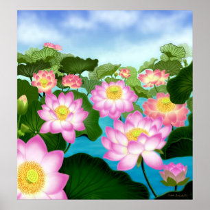 Sacred Lotus Flowers Poster