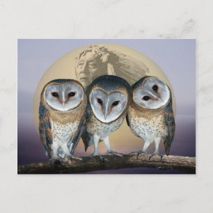 Sacred Owl North American Indian Postcard