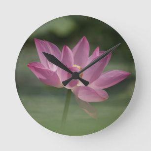 Sacred Pink Lotus Blossom - Serene Zen Art for Med Round Clock