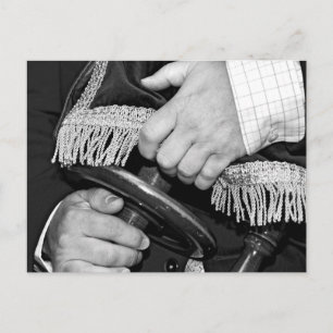 Sacred Scrolls Postcard