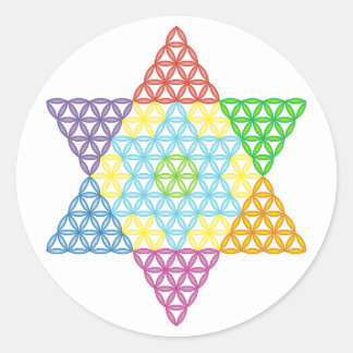 Sacred Star - Star Of Life, 04/3D-CF. Classic Round Sticker