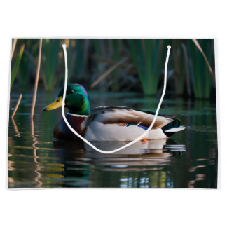 Sacs Cadeaux Canard colvert mâle nageant dans un  Large Gift Bag