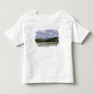Sacsahuman Inca fortress Toddler T-Shirt