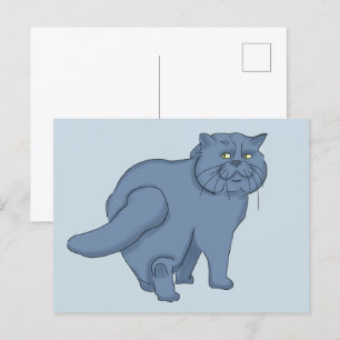 Sad cat. British cat  Postcard