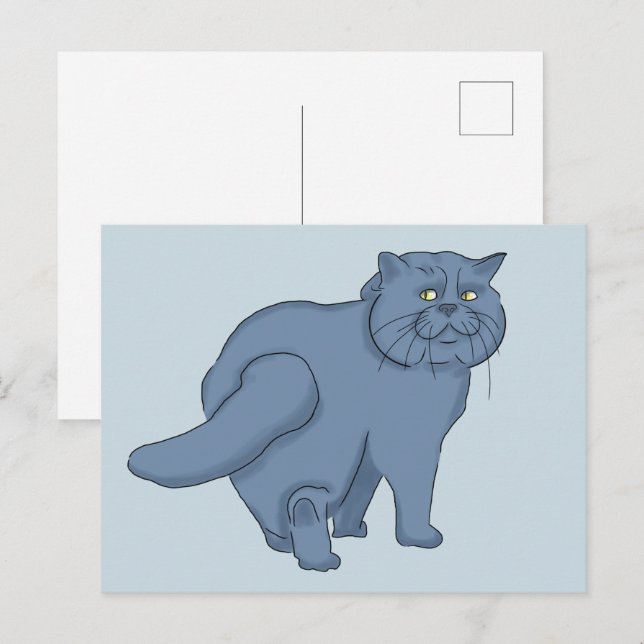 Sad cat. British cat  Postcard (Front/Back)
