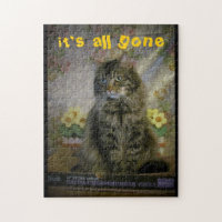 Sad Cat, Cheeseburger all gone.
