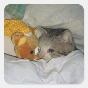 sad cat in bed square sticker