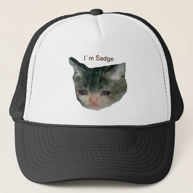 Sad Cat Trucker Hat (Front)