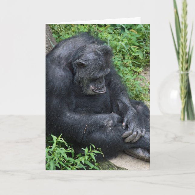 sad chimpanzee Miss You Card (Front)