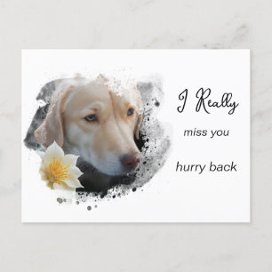 *~ Sad Dog AP61 Flower Miss You Hurry Postcard