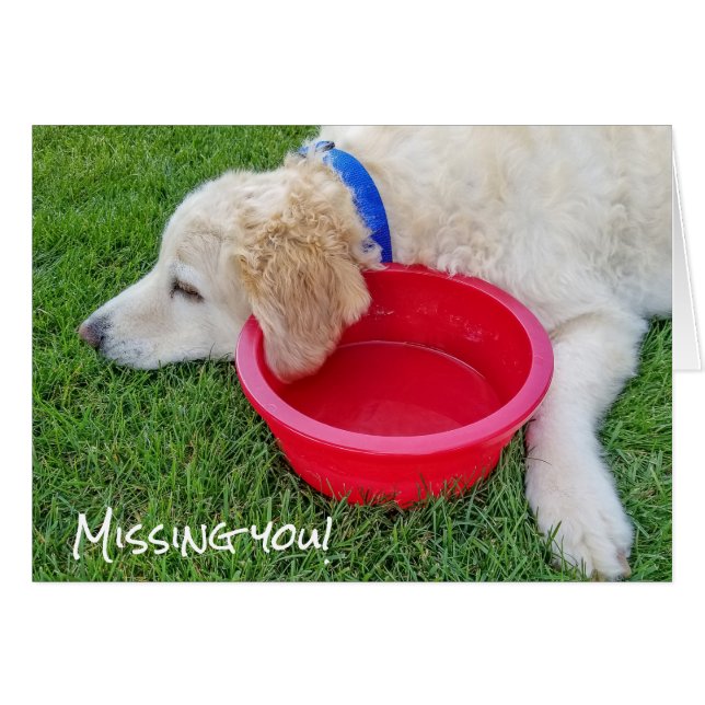 sad dog-missing you (Front Horizontal)