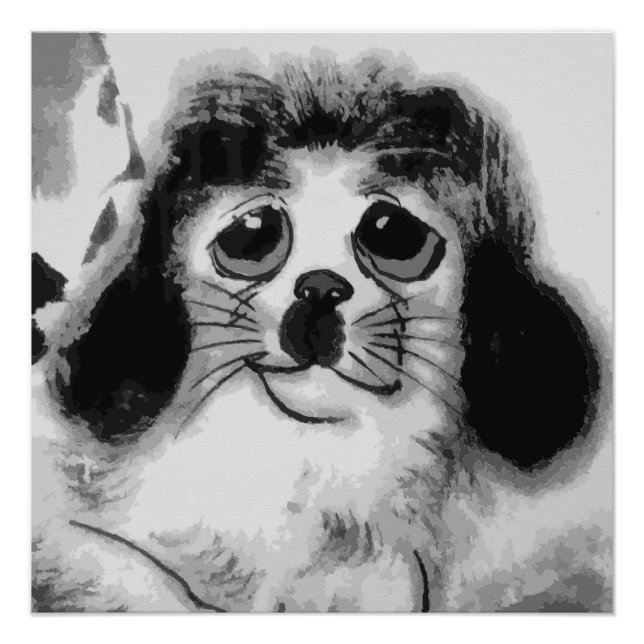 SAD DOG POSTER (Front)