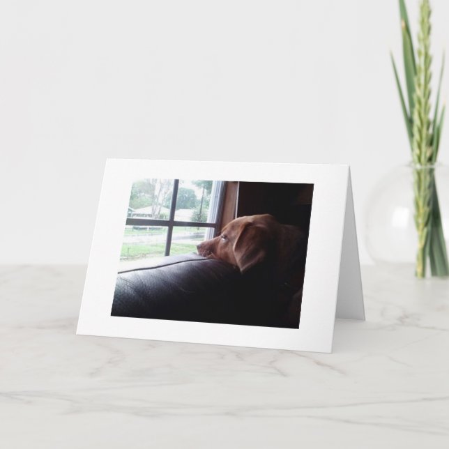 SAD DOG SAYS "MISS YOU ON YOUR BIRTHDAY" CARD (Front)