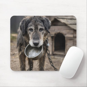 Sad Dog with Empty Water Bowl Mouse Mat