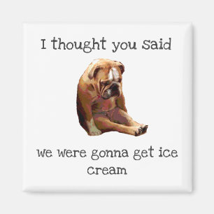 Sad English Bulldog funny ice cream joke Magnet