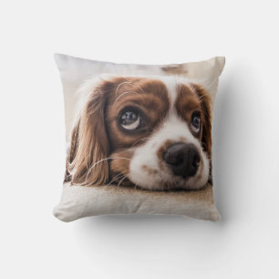 Sad-Eyed Cocker Spaniel Dog Cushion