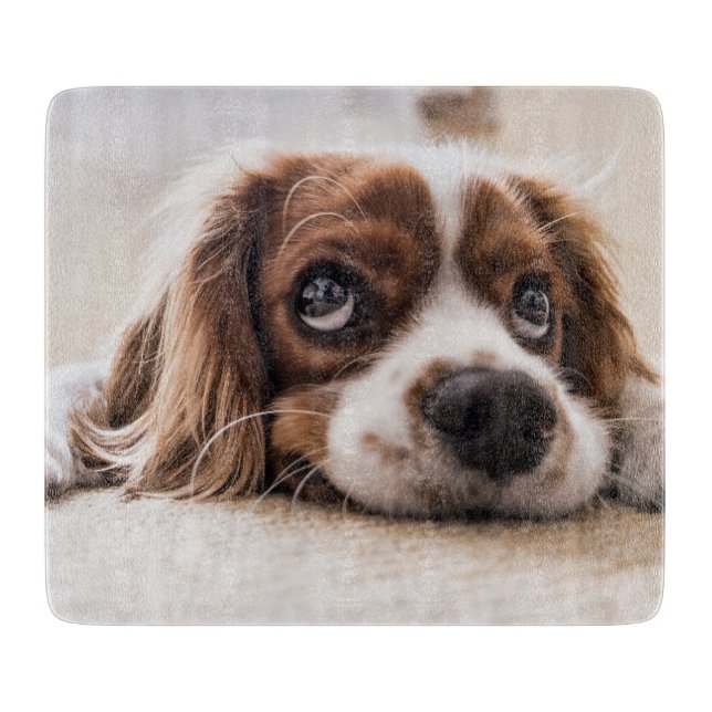 Sad-Eyed Cocker Spaniel Dog Cutting Board (Front)