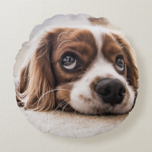 Sad-Eyed Cocker Spaniel Dog Round Cushion