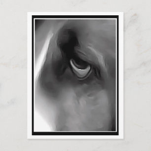 Sad Eyed Hound Postcard