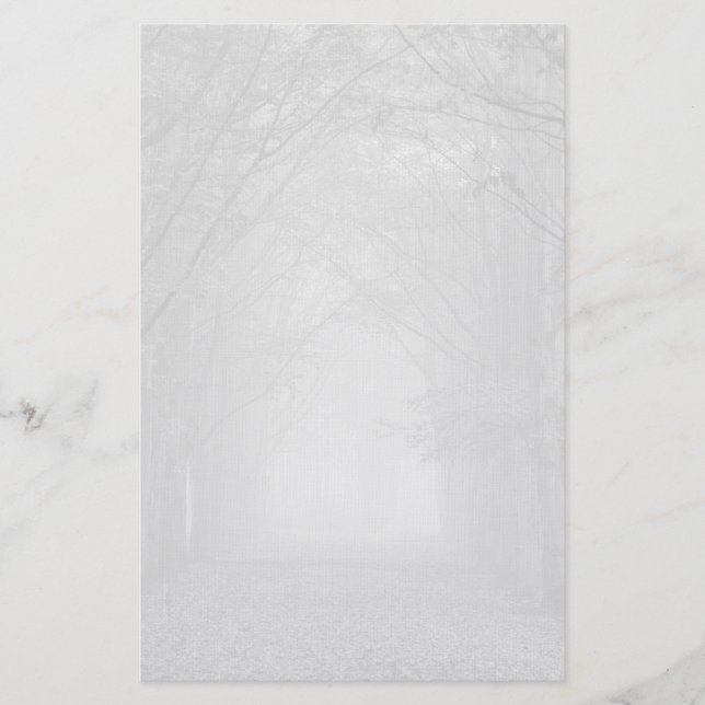 Sad forest path in the fog stationary stationery (Front)