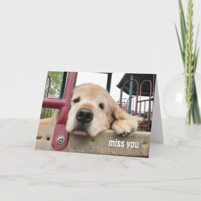 Sad Golden Retriever Dog Miss You Card (Front)