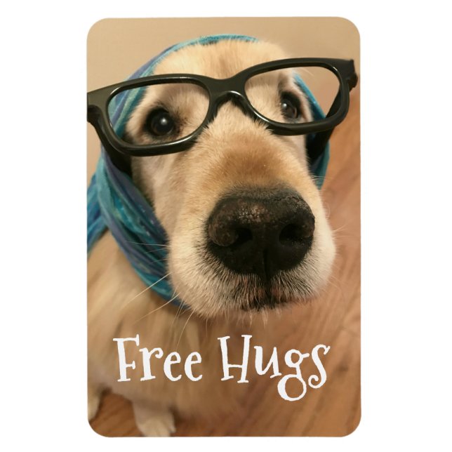 Sad Golden Retriever Dog With Glasses Free Hugs Magnet (Vertical)