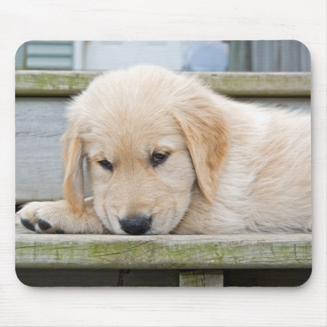sad golden retriever puppy mouse mat (Front)