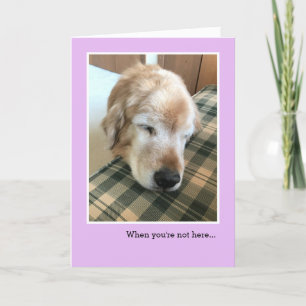 Sad Golden Retriever With Head on Chair Miss You Card