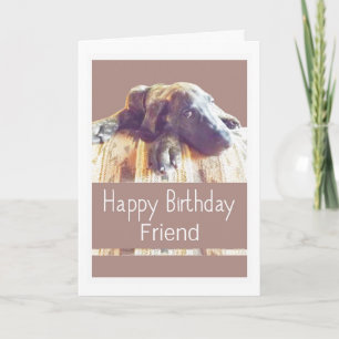 Sad Great Dane Puppy Dog Funny Age Friend Card