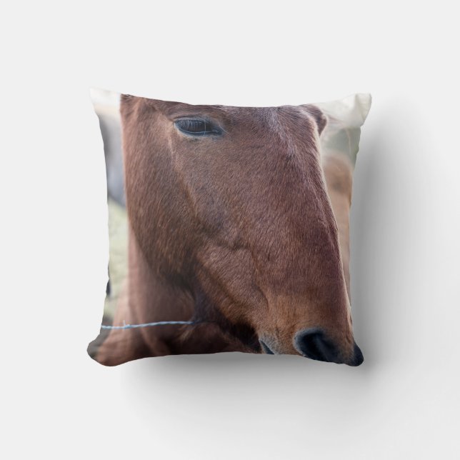 SAD HORSE CUSHION (Front)