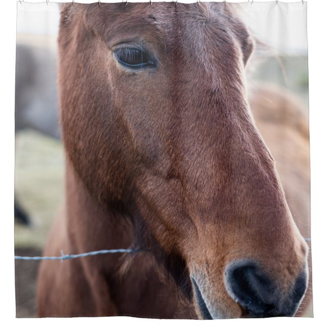 SAD HORSE SHOWER CURTAIN (Front)