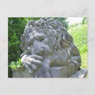 Sad Lion Postcard