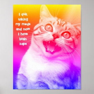 Sad & Lonely Pets Poster Print: Brain Zaps 