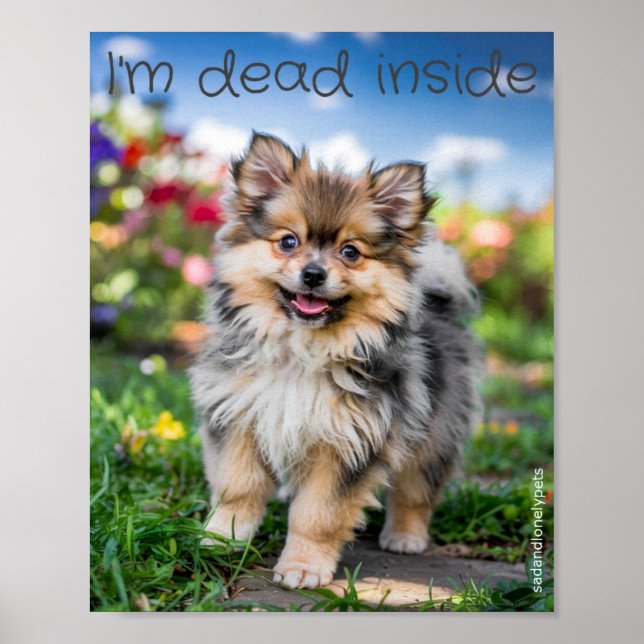Sad & Lonely Pets Poster Print: I'm Dead Inside (Front)
